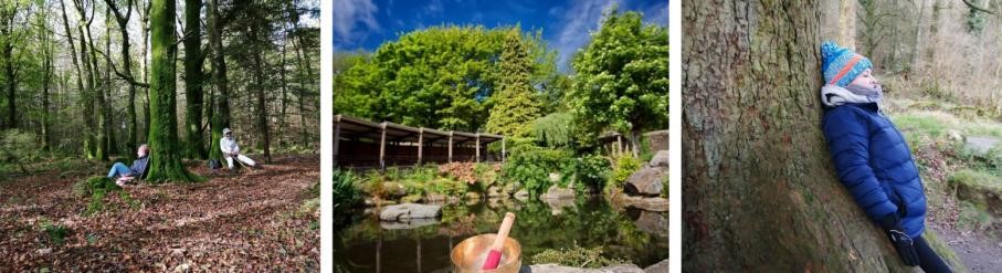 diversifying communications example.jpg